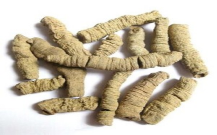 巴戟天烘干工艺