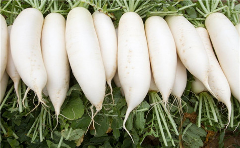 白萝卜