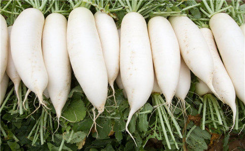 白萝卜烘干工艺