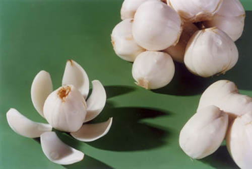 LOCAL201206251132000206107775765