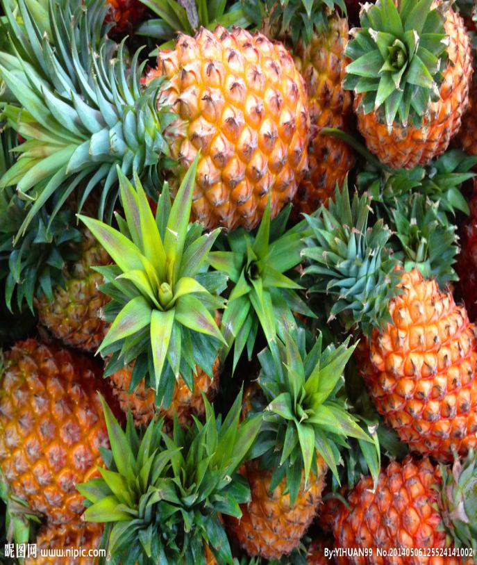 17879622_125524141002_2