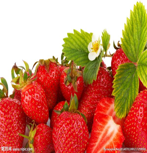 2531170_080217299000_2