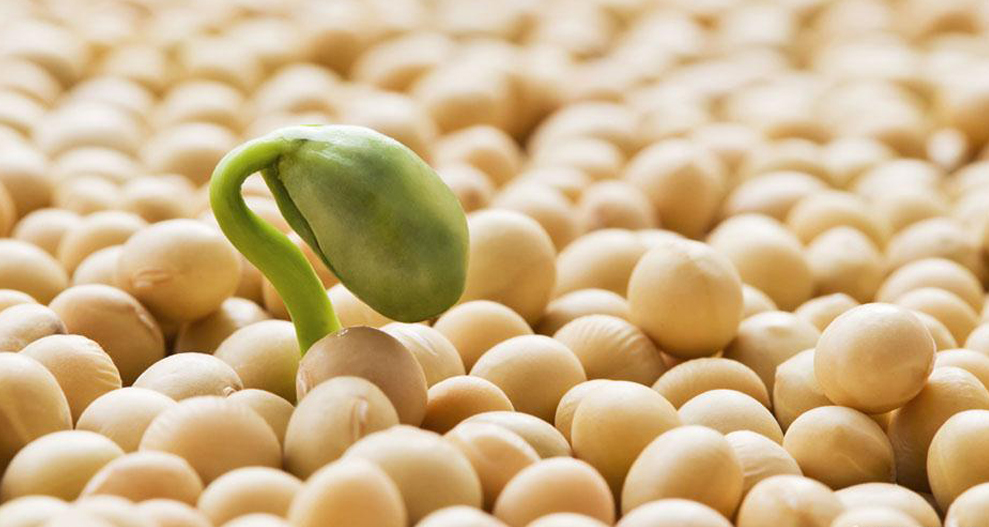 fa7a3e789ca04bc682029a3be3b0ec6f_th