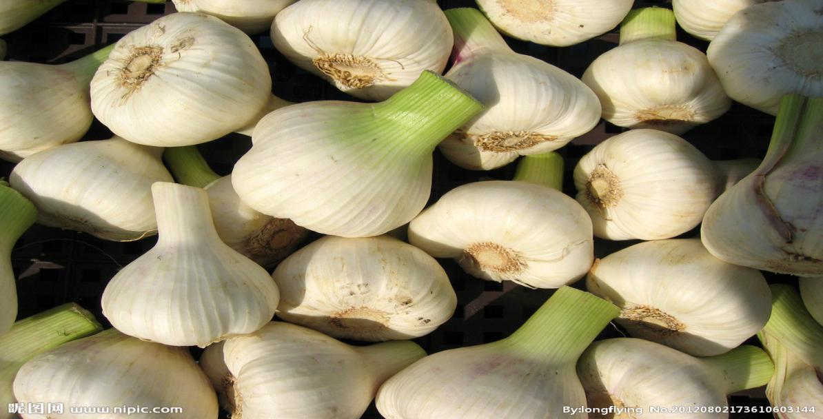 7810730_173610603144_2