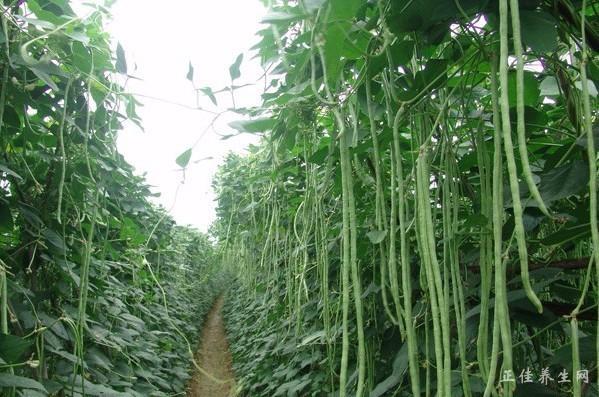 20170120fqzhgrmxdek1300390120