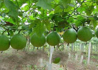 8b232a346031a83ab79592e48575b1a4