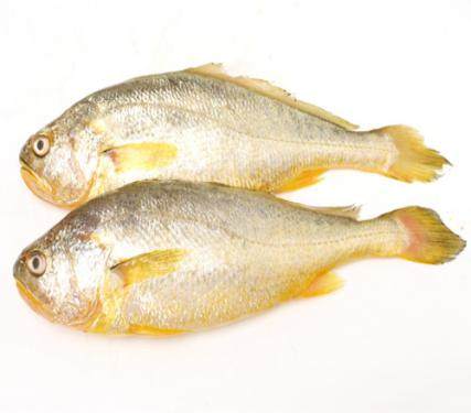 黄花鱼烘干工艺