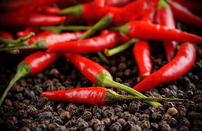 辣椒