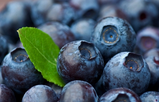 蓝莓