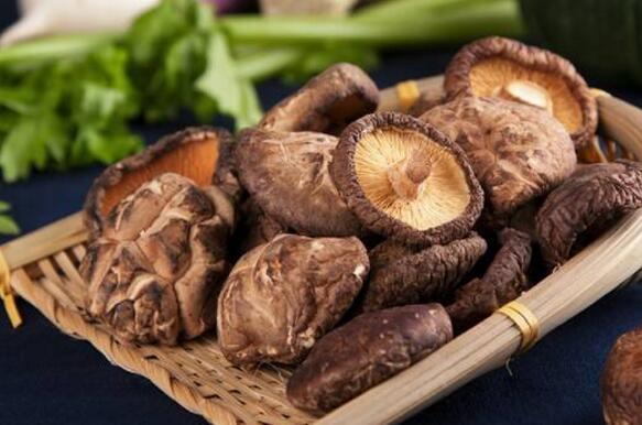 香菇