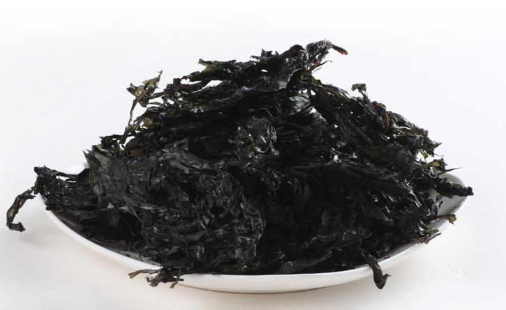 紫菜