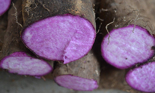 紫玉淮山烘干工艺